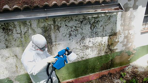 Top rated local Mold Testing specialists in Burlington, CO